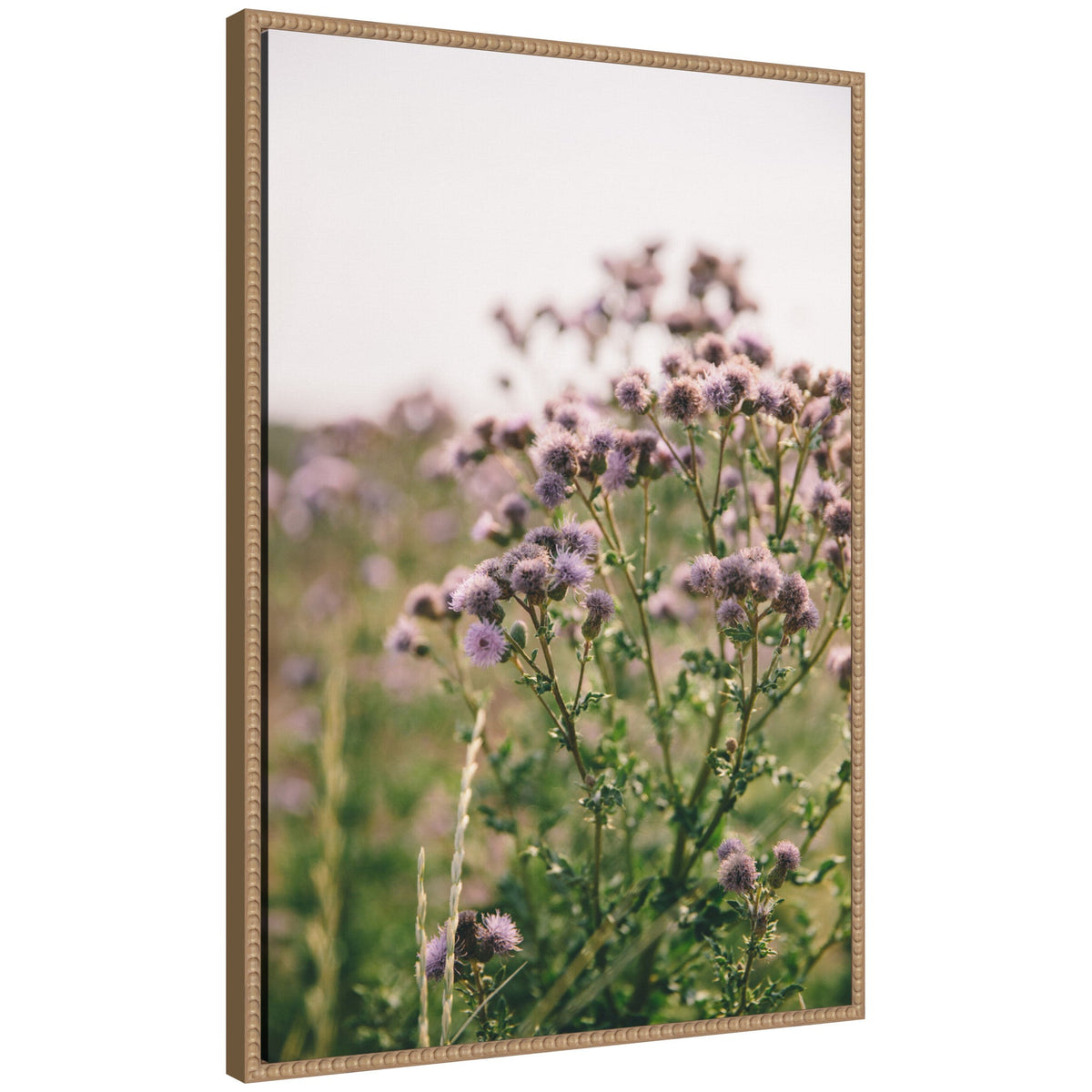 Sylvie Soft Purple Flower Blooms Framed Canvas by Patricia Hasz