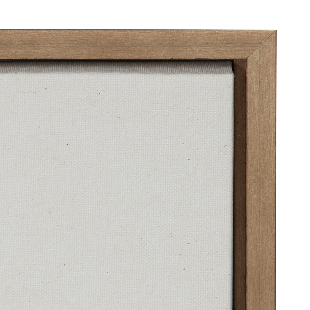 Sylvie Eucalyptus Framed Canvas Set of 2 by Maja Mitrovic of Makes My Day Happy