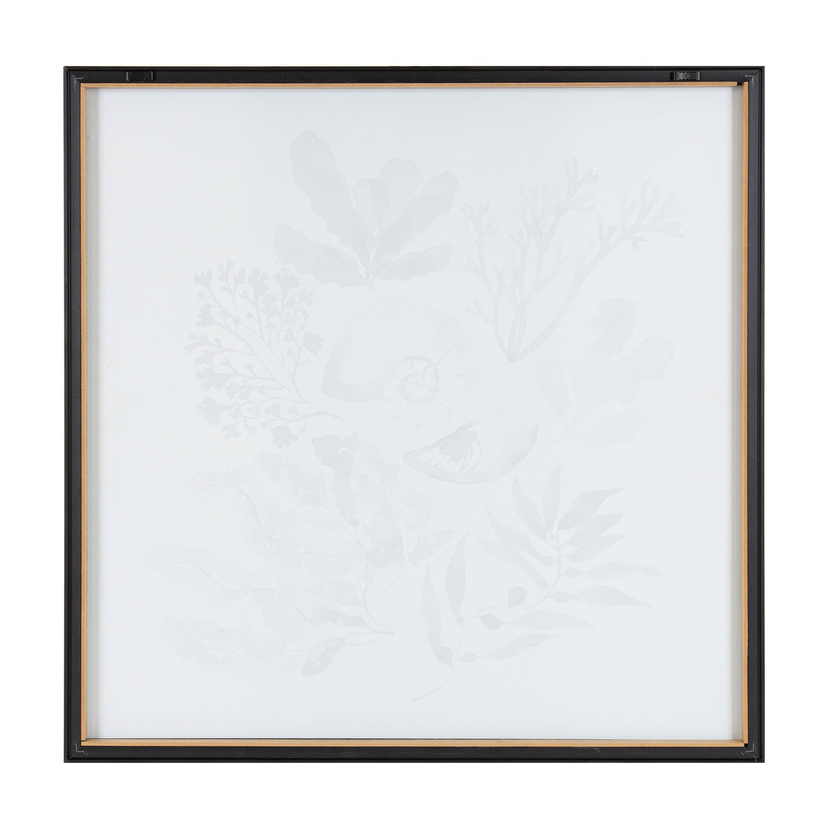 Blake Indigo Shells Framed Printed Acrylic by Sara Berrenson