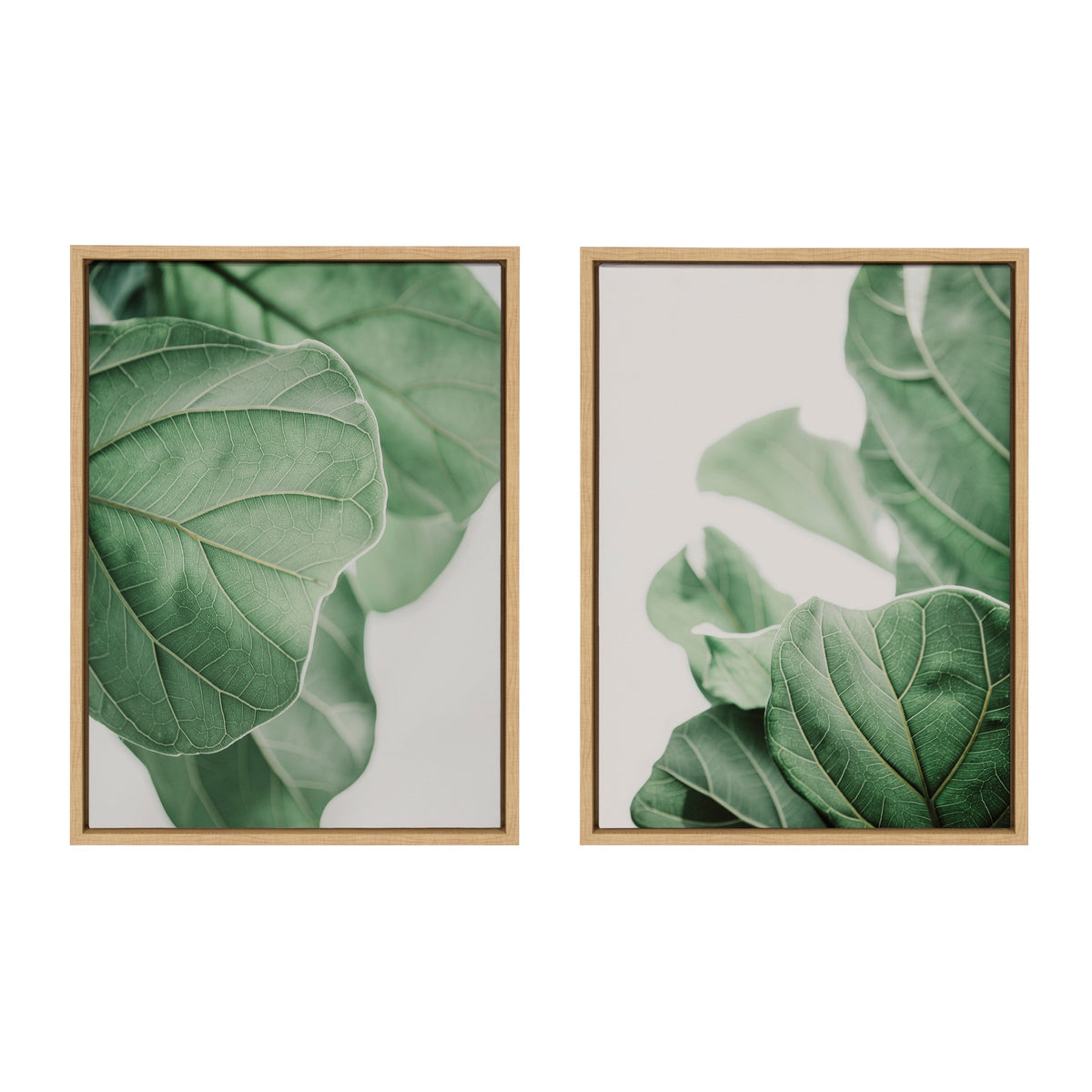 Sylvie Plant Study 6 and Plant Study 7 Framed Canvas Set of 2 by Alicia Abla