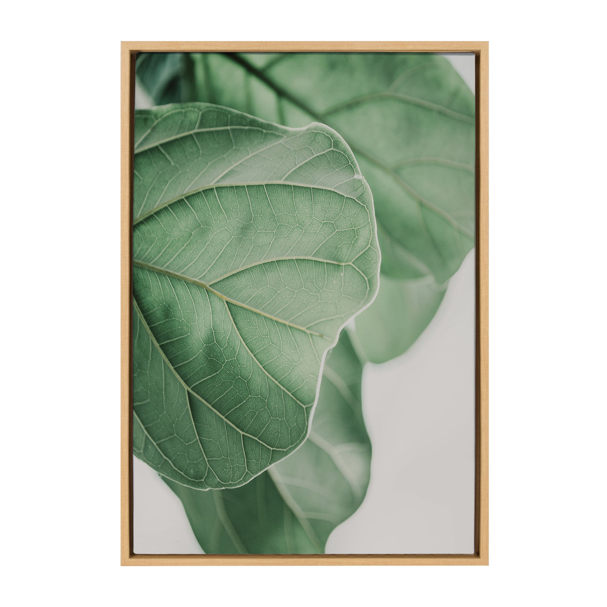 Sylvie Plant Study 6 Framed Canvas by Alicia Abla