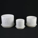 pot with plastic saucer