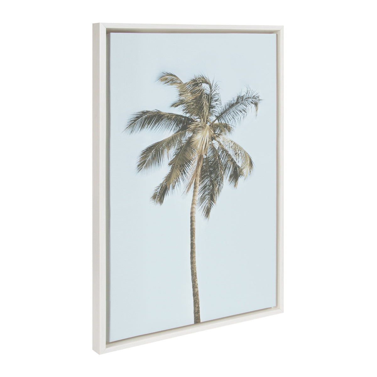Sylvie One Coconut Palm Tree Framed Canvas by The Creative Bunch Studio