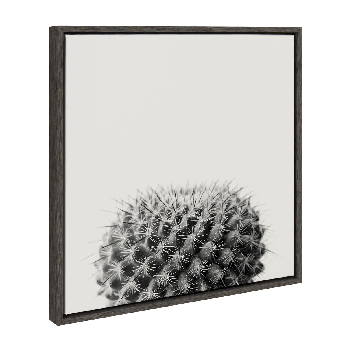Sylvie Haze Succulent Cactus Short Framed Canvas by The Creative Bunch Studio