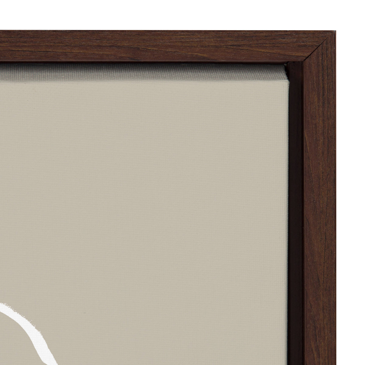 Sylvie Beige Going in Circles Framed Canvas Set of 2 by Teju Reval of SnazzyHues