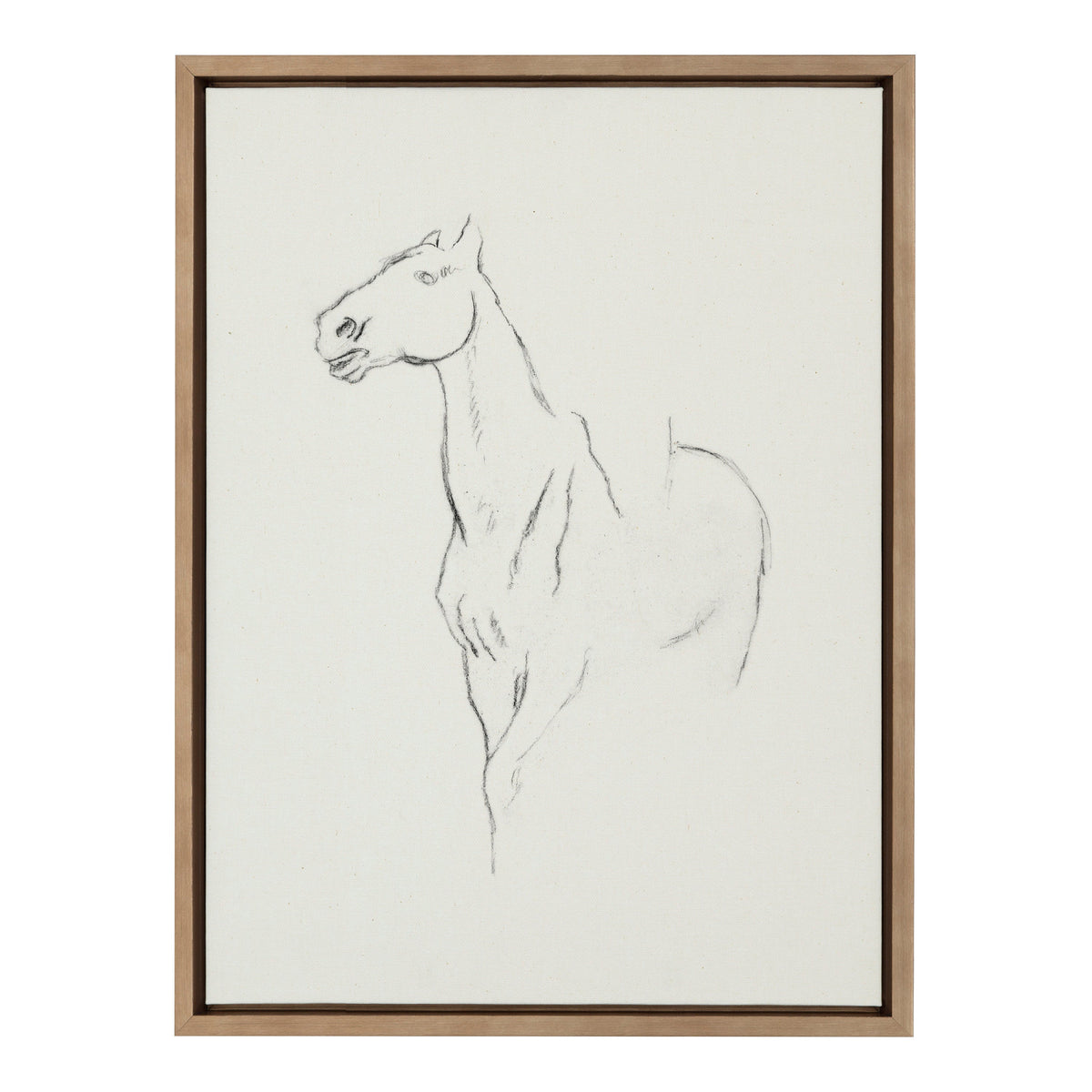 Sylvie Edgar Degas Horse Turned Three Quarters 1880 BW Framed Canvas by The Art Institute of Chicago
