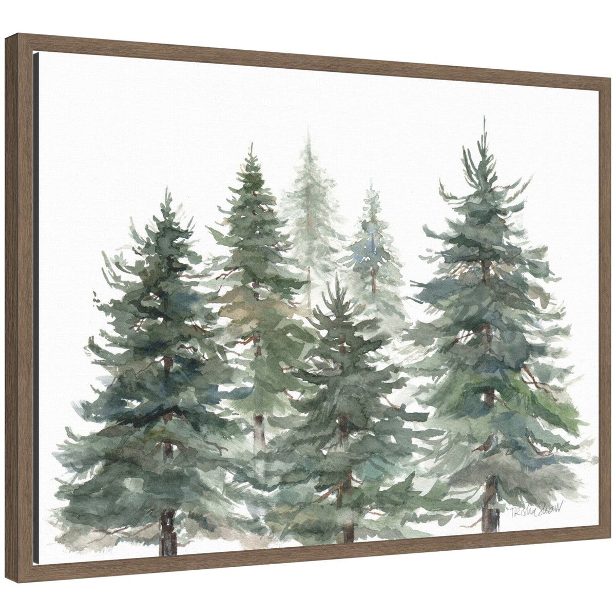 Sylvie Framed Canvas Pines And Evergreens by Patricia Shaw