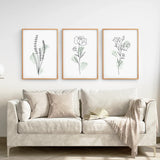 Thin Wood Frame - no mat