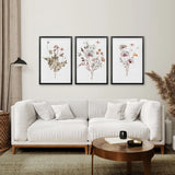 Black Frame - no mat