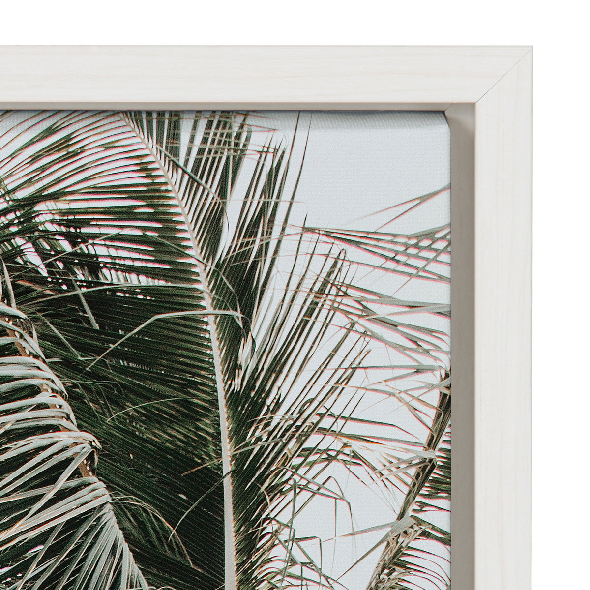 Sylvie Palm Trees Framed Canvas by Alicia Abla