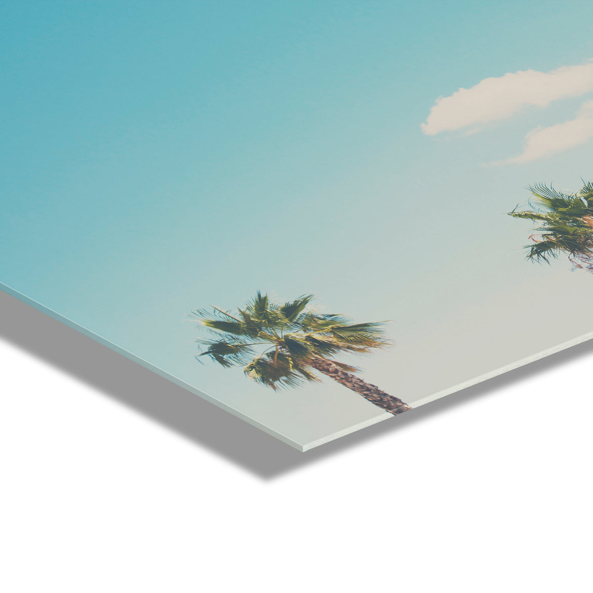 A Trio Of Palm Trees Floating Acrylic Art by Laura Evans
