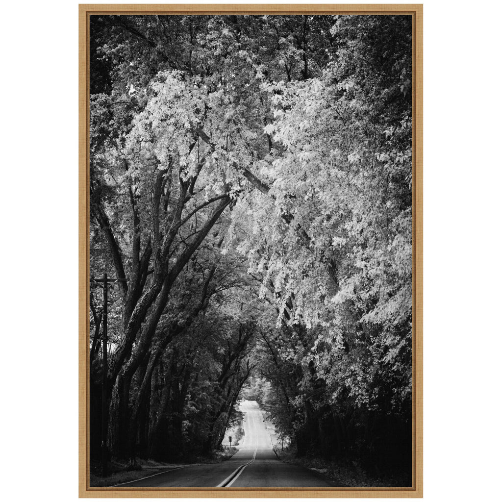 Sylvie Pleasant Valley Road Serene Path Framed Canvas by Emiko and Mark Franzen of F2Images