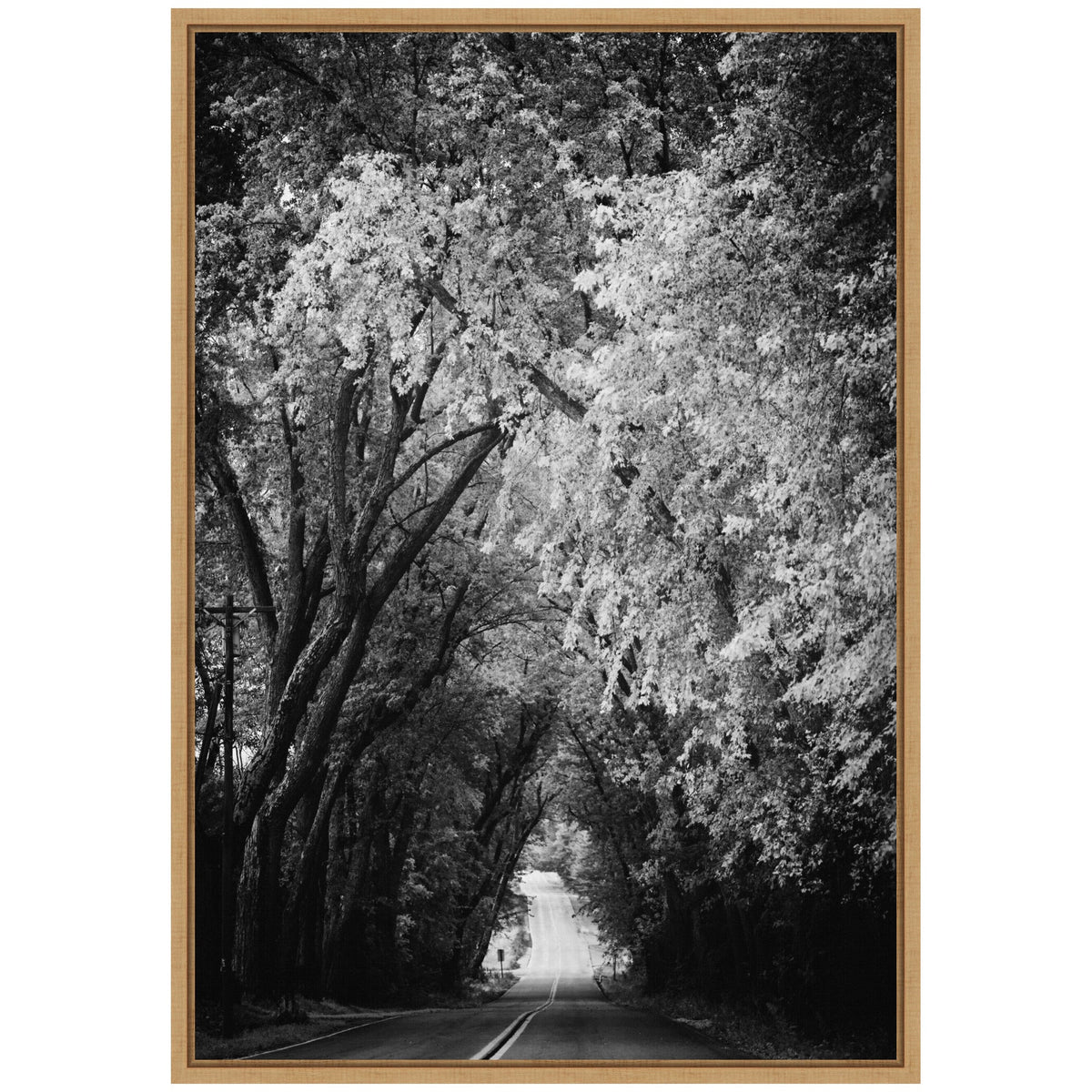 Sylvie Pleasant Valley Road Serene Path Framed Canvas by Emiko and Mark Franzen of F2Images