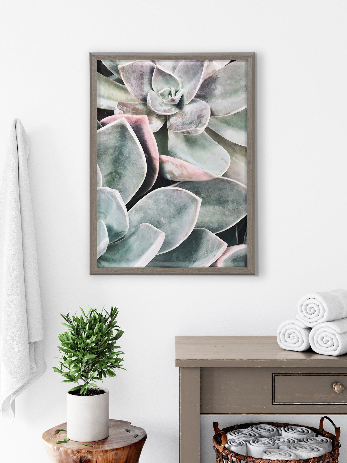 Blake Botanical Succulent Plants 1 Framed Printed Glass by The Creative Bunch Studio