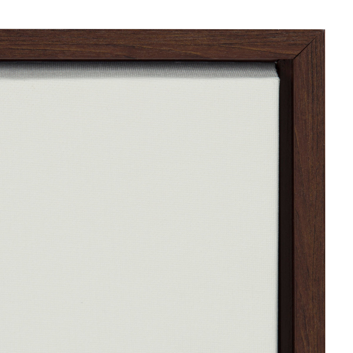 Sylvie Rubber Plant Framed Canvas by Rachel Lee of My Dream Wall