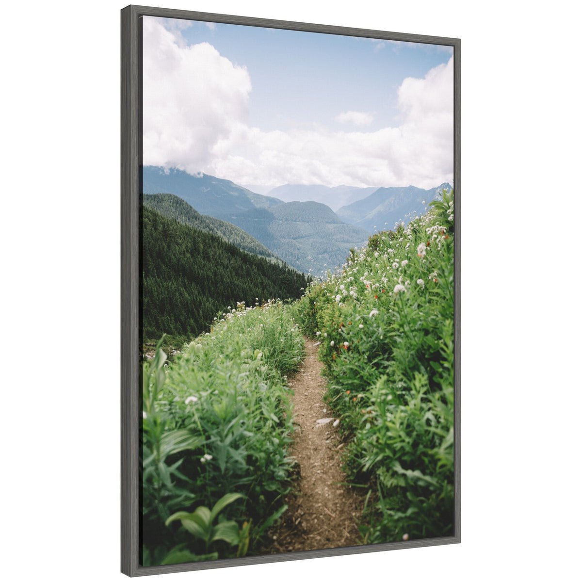 Sylvie Mountain Trail Scenic Landscape Framed Canvas by Patricia Hasz