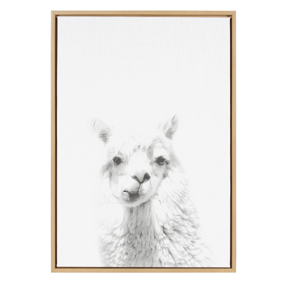 Sylvie Alpaca Framed Canvas by Simon Te of Tai Prints