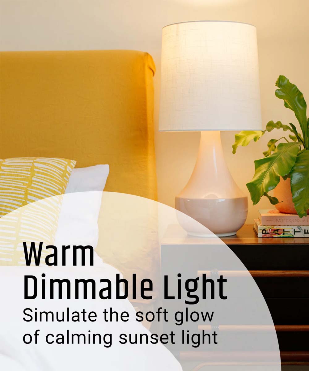 Brilli Wind Down A21 Dimmable LED Light Bulbs, 100W Equivalent, 2700K, 6-Pack