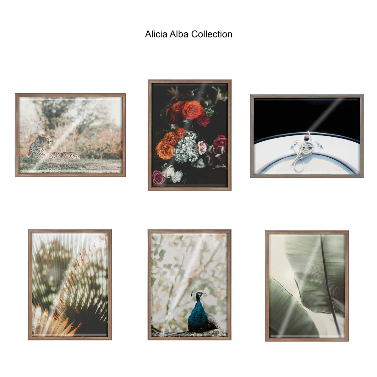 Blake Yellow Tipped Fern Framed Printed Glass by Alicia Abla