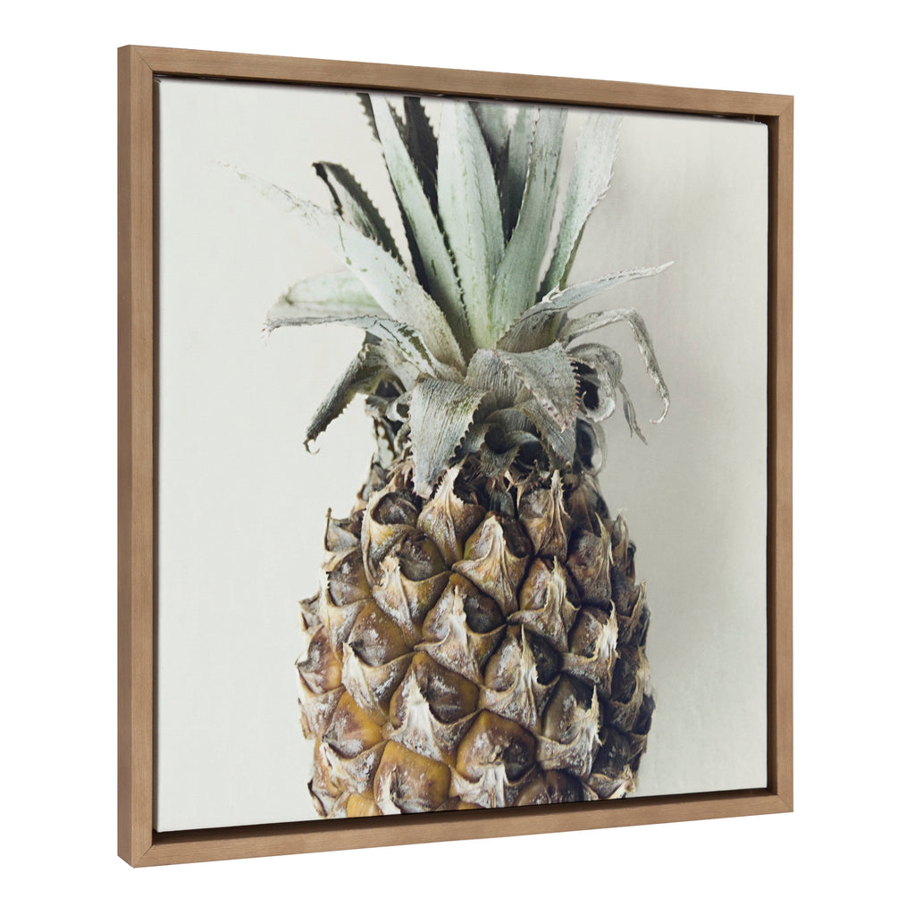 Sylvie Solo Pineapple Framed Canvas by Emiko and Mark Franzen of F2Images