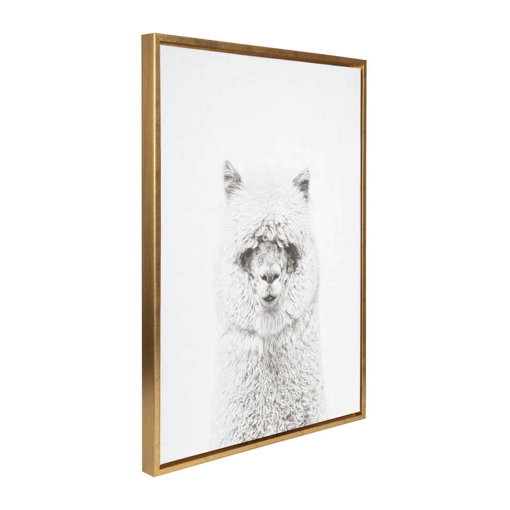 Sylvie Hairy Alpaca Framed Canvas by Simon Te of Tai Prints