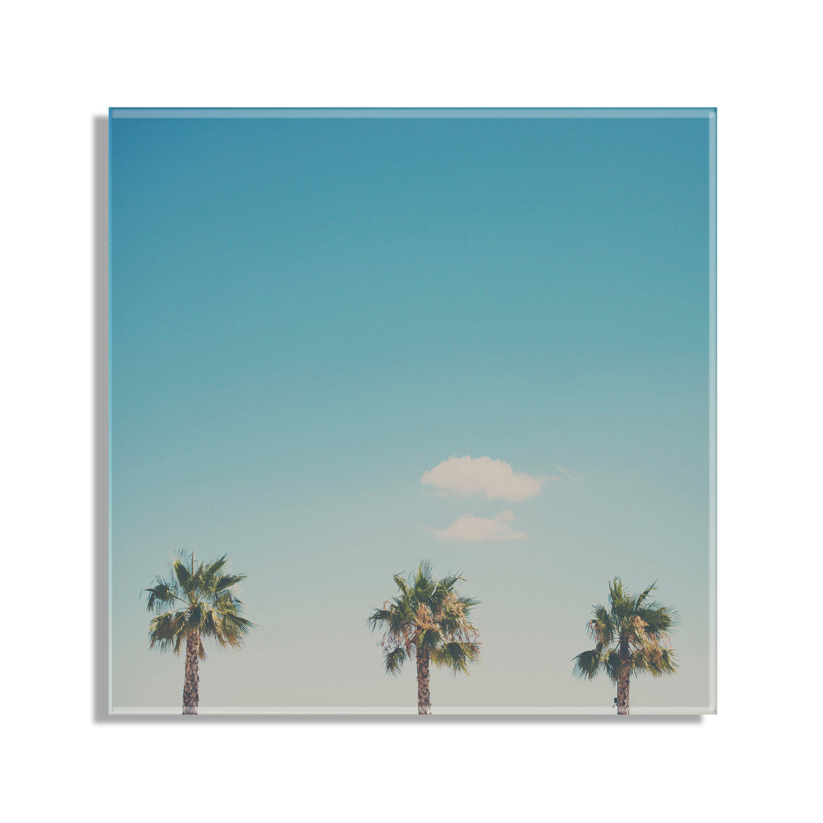 A Trio Of Palm Trees Floating Acrylic Art by Laura Evans