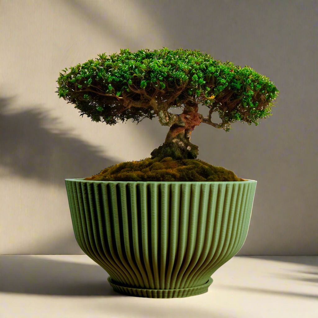 Bonsai Pot with Drainage & Tray