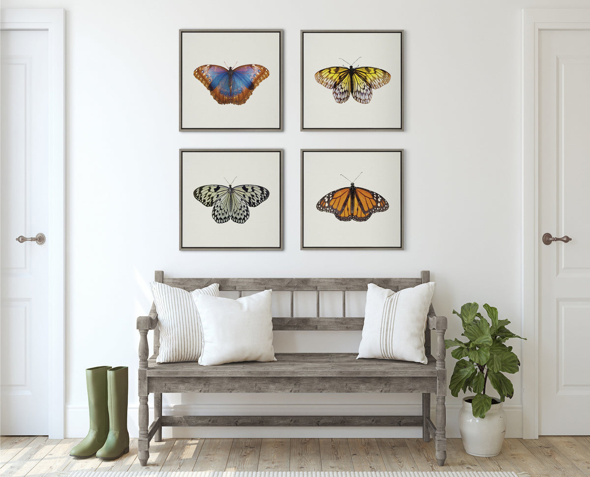 Sylvie Limon Framed Canvas by Robert Cadloff of Bomobob