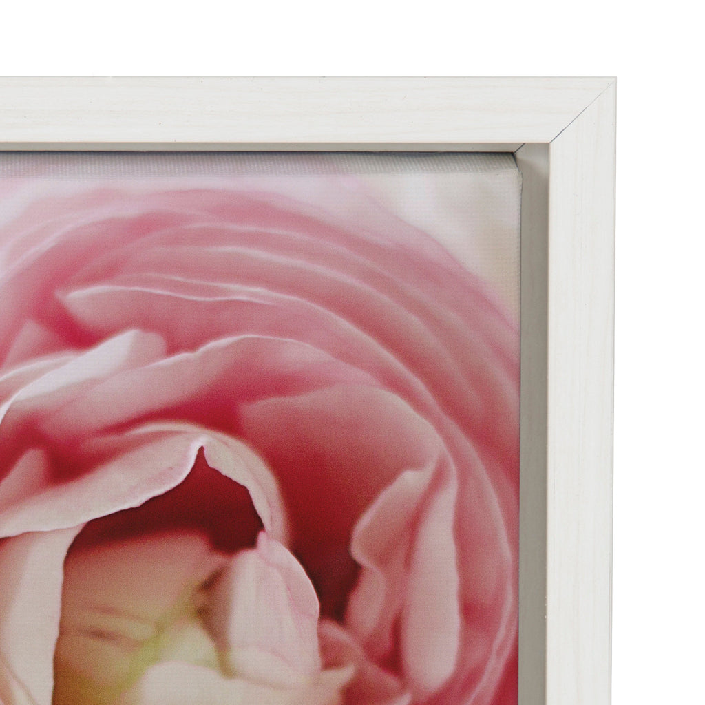 Sylvie Pink Dreams Framed Canvas by Kristy Campbell