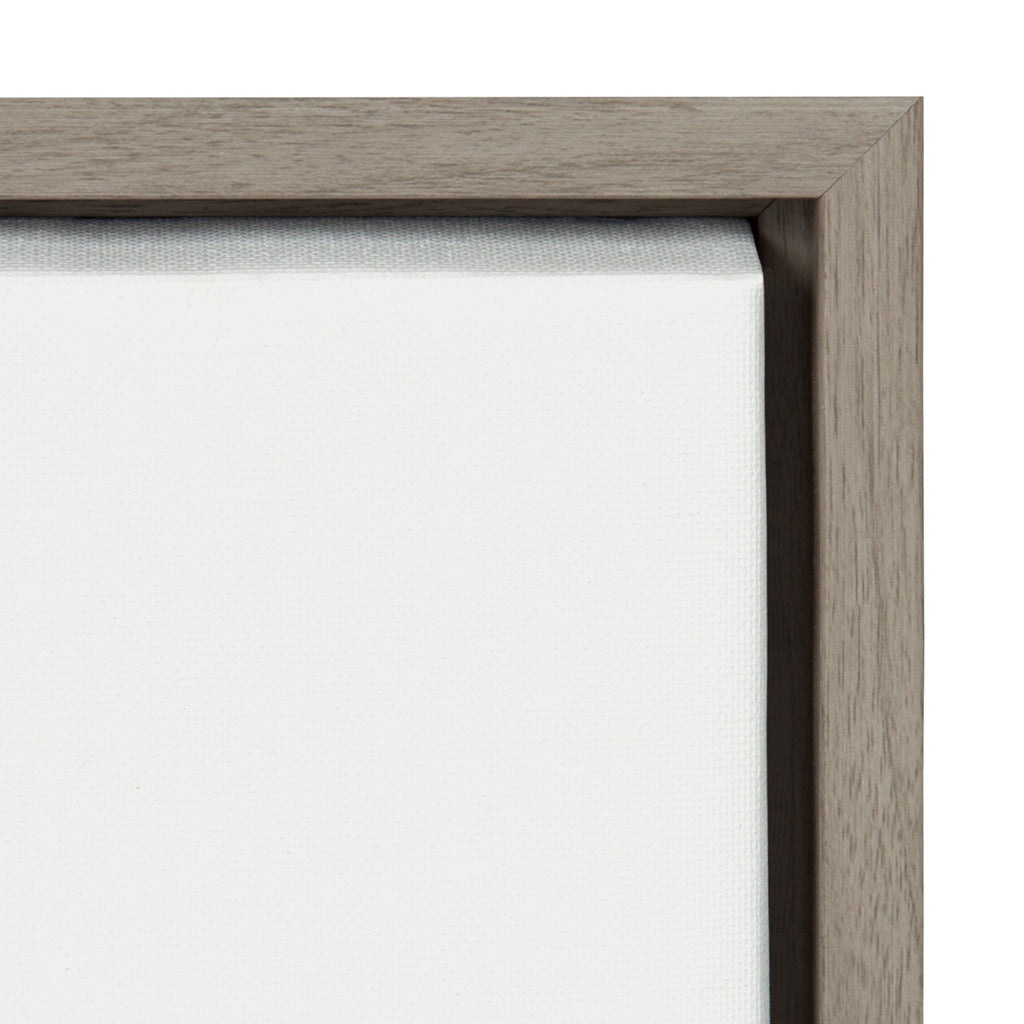 Sylvie Raccoon Framed Canvas by Amy Peterson Art Studio