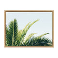 Sylvie Tropical Palm Under Blue Sky Framed Canvas by Amy Peterson Art Studio