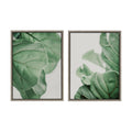 Sylvie Plant Study 6 and Plant Study 7 Framed Canvas Set of 2 by Alicia Abla
