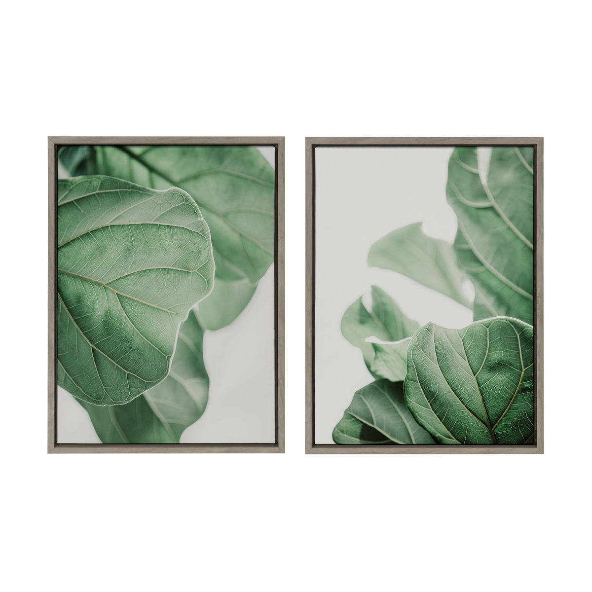 Sylvie Plant Study 6 and Plant Study 7 Framed Canvas Set of 2 by Alicia Abla