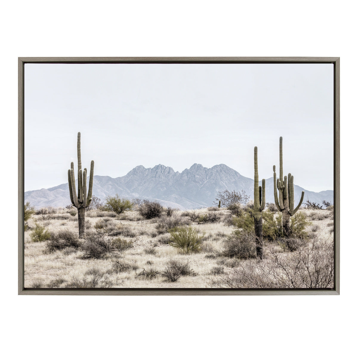 Sylvie Tall Saguaro Cacti Desert Mountain Framed Canvas by The Creative Bunch Studio