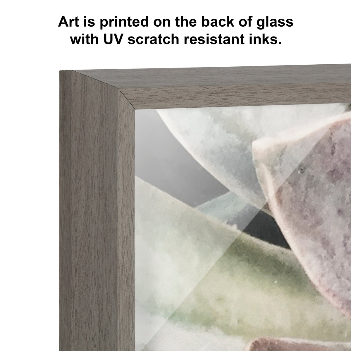 Blake Botanical Succulent Plants 1 Framed Printed Glass by The Creative Bunch Studio