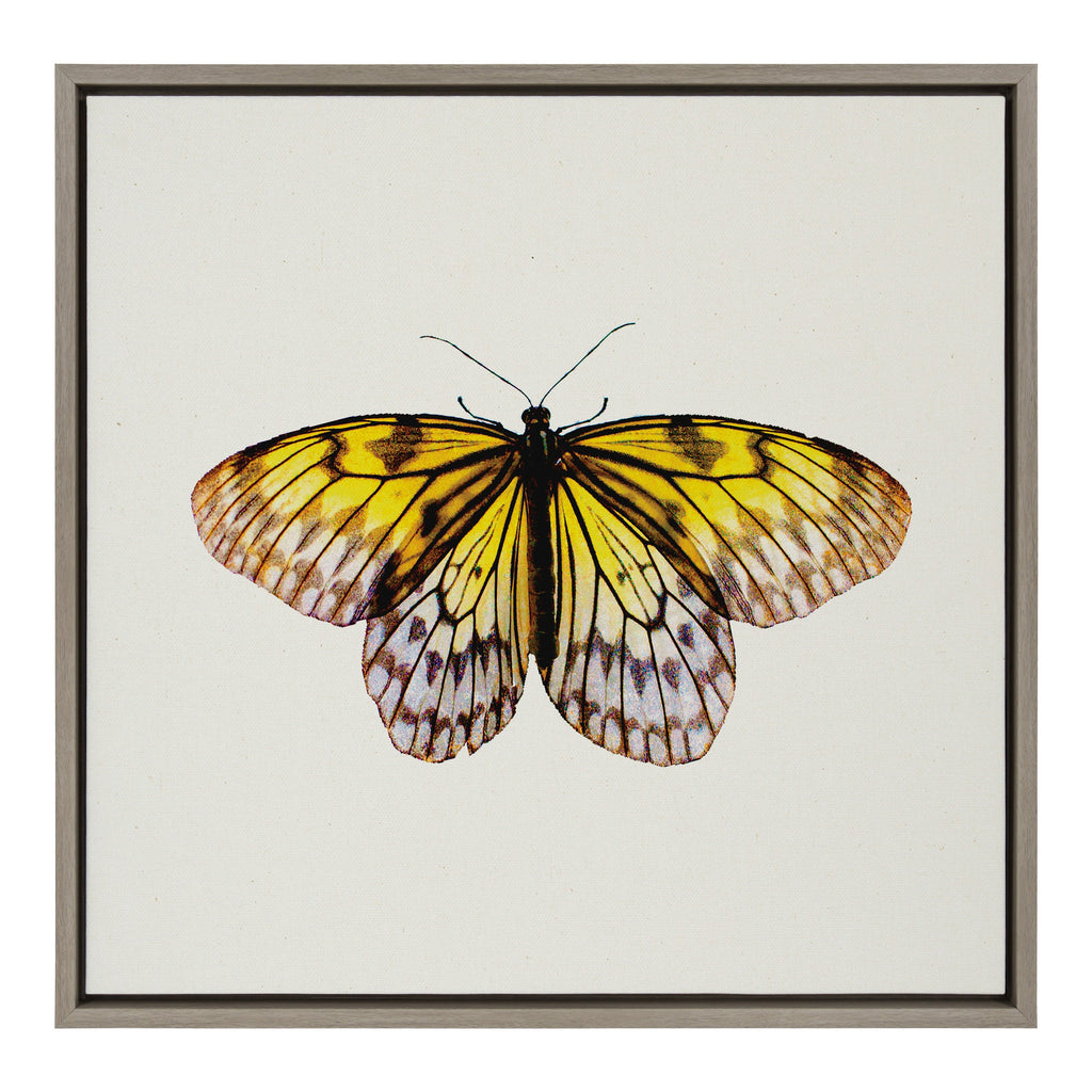 Sylvie Limon Framed Canvas by Robert Cadloff of Bomobob