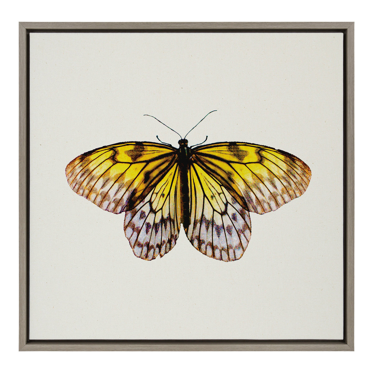 Sylvie Limon Framed Canvas by Robert Cadloff of Bomobob