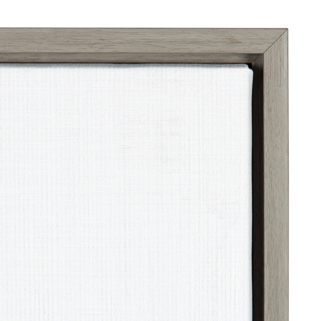Sylvie Raccoon Framed Canvas by Amy Peterson Art Studio