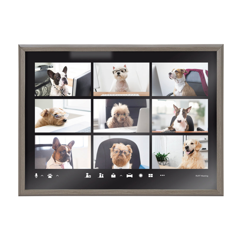 Blake Video Chat Dogs Framed Printed Glass by The Creative Bunch Studio