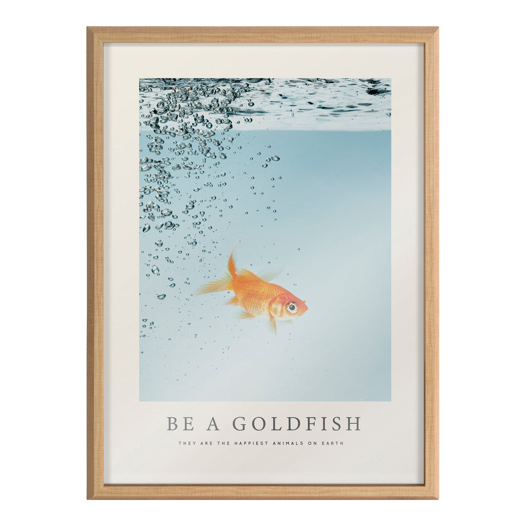 Blake Be A Goldfish Framed Printed Glass by The Creative Bunch Studio