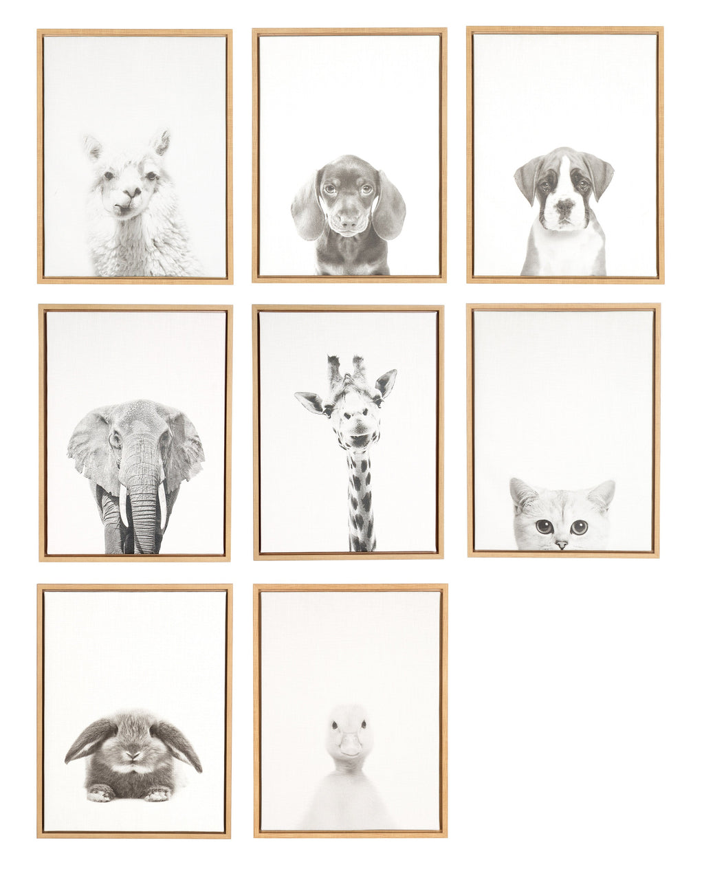 Sylvie Rabbit Framed Canvas by Simon Te of Tai Prints