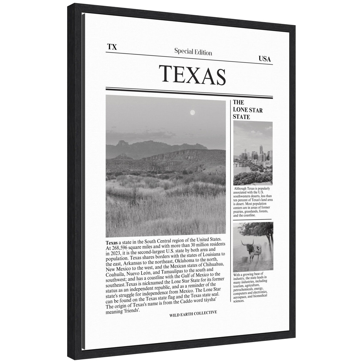 Texas Article by Megan Ryan Framed Canvas Wall Art Print