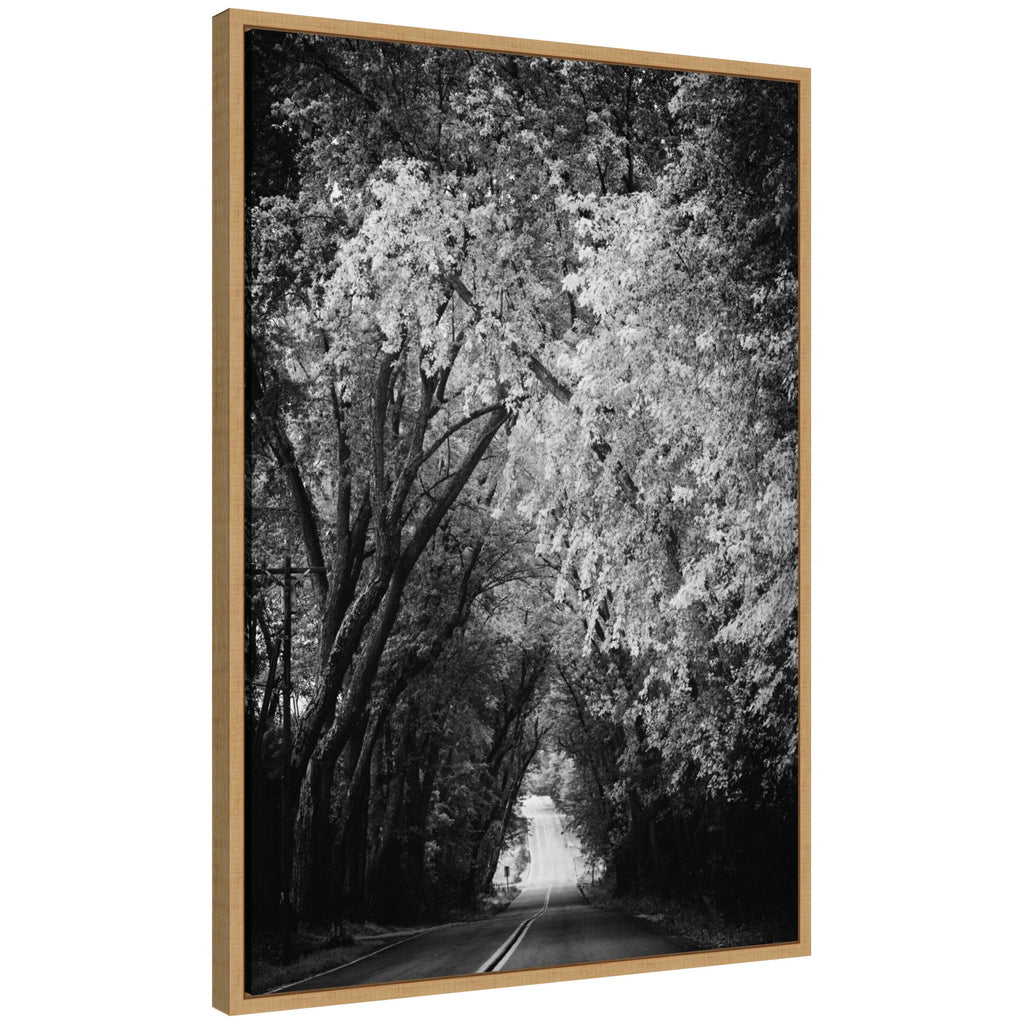 Sylvie Pleasant Valley Road Serene Path Framed Canvas by Emiko and Mark Franzen of F2Images