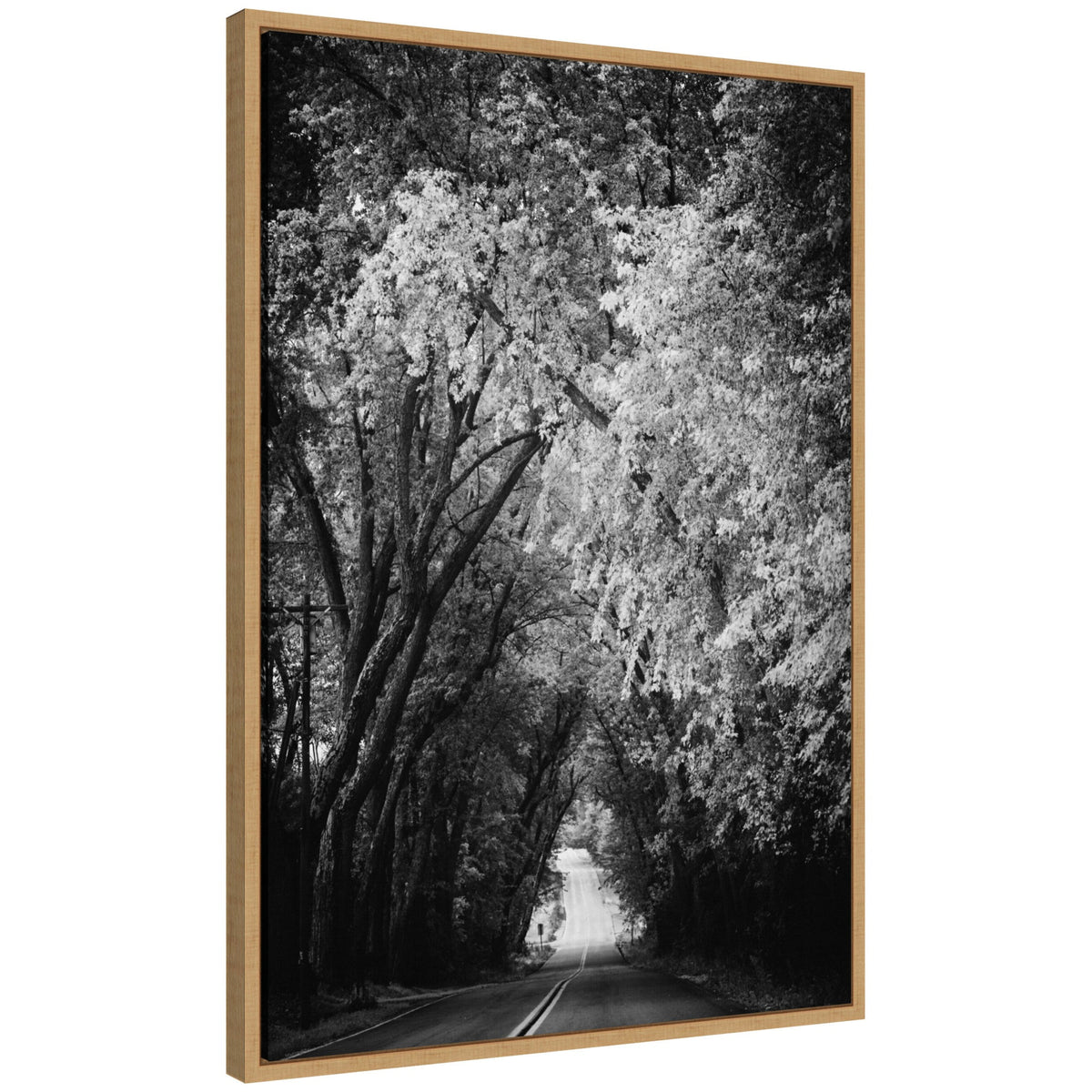 Sylvie Pleasant Valley Road Serene Path Framed Canvas by Emiko and Mark Franzen of F2Images