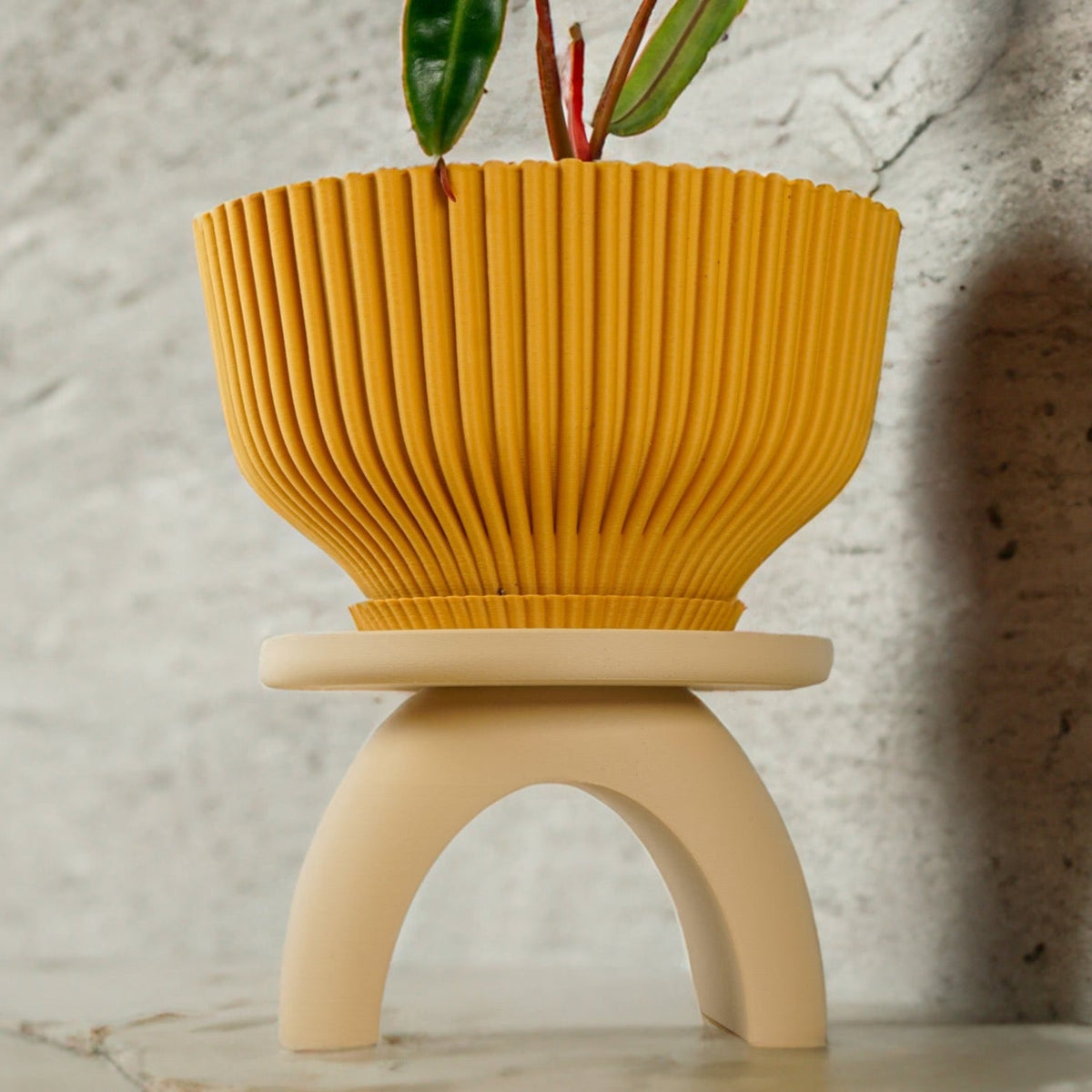 Arch Plant Stand