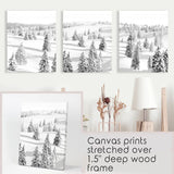 Wrapped Canvas