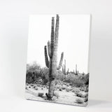Wrapped Canvas