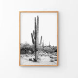 Thin Wood Frame
