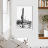 White Frame