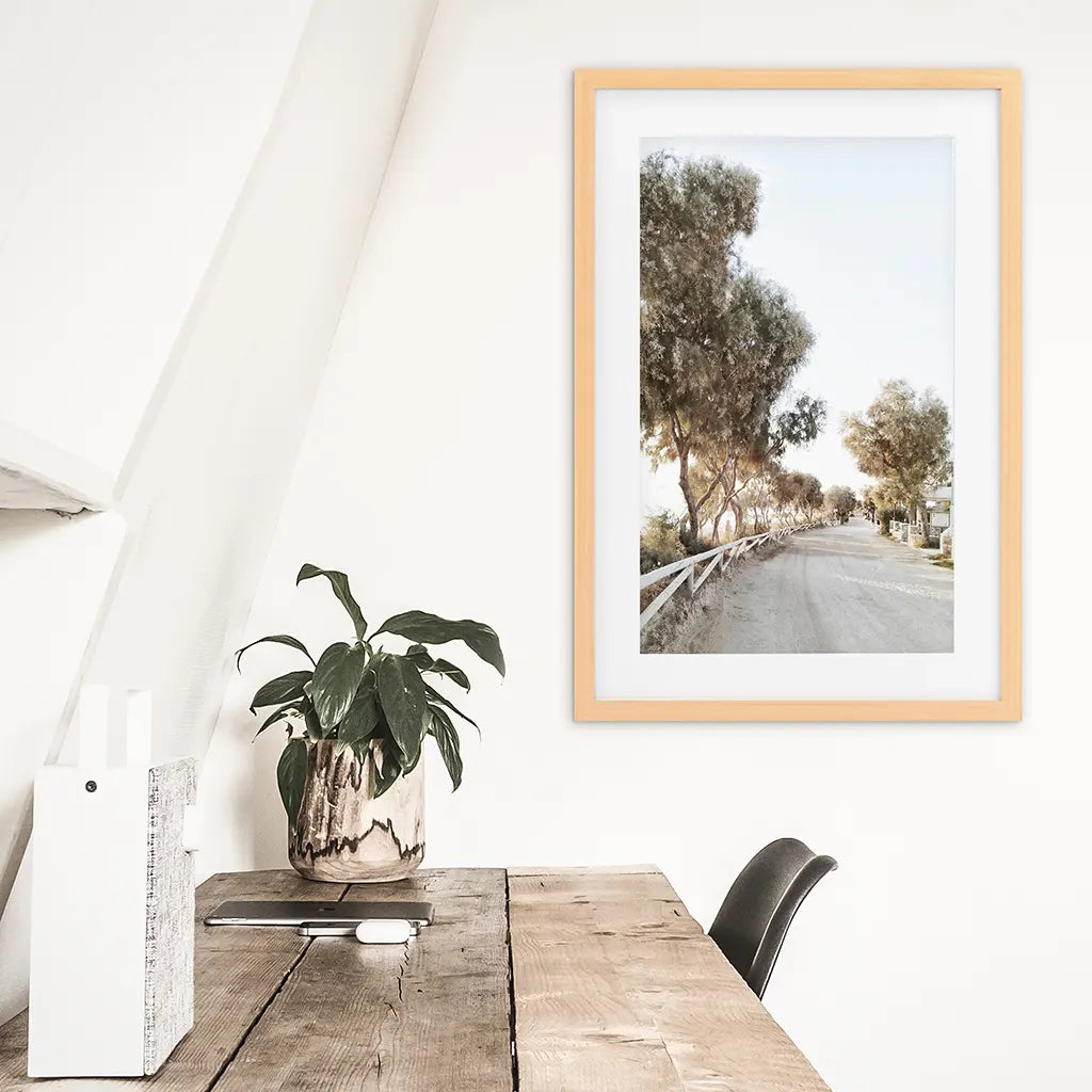 Modern Coastal Neutral Tones Photo. Trees Wall Art